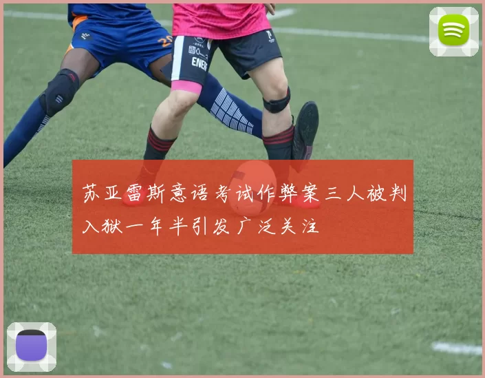 苏亚雷斯意语考试作弊案三人被判入狱一年半引发广泛关注